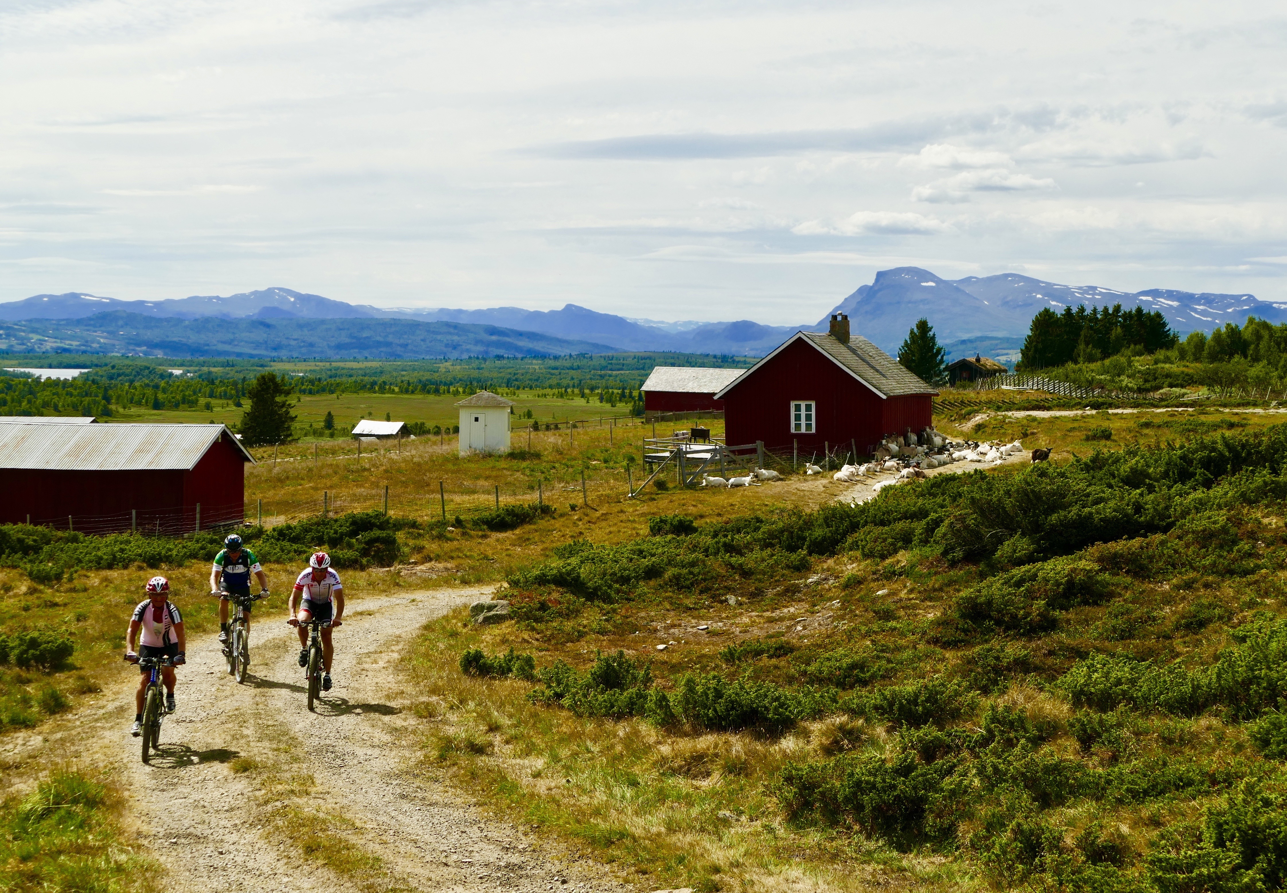 Støtt på Helgelandskysten er reisetipset